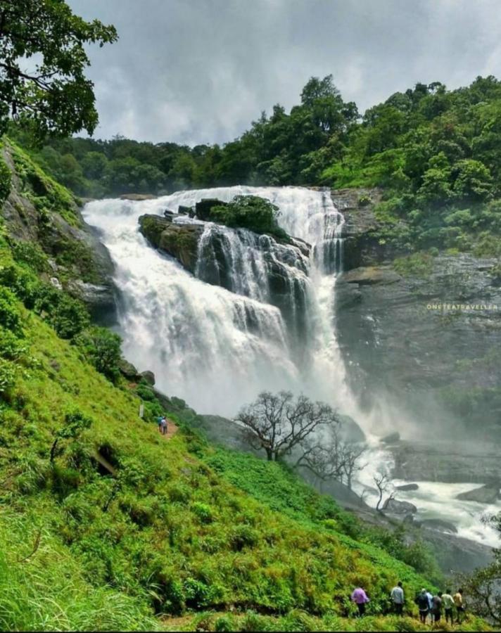 Coorg Coffee Park Farmstay Somvārpet Exterior foto