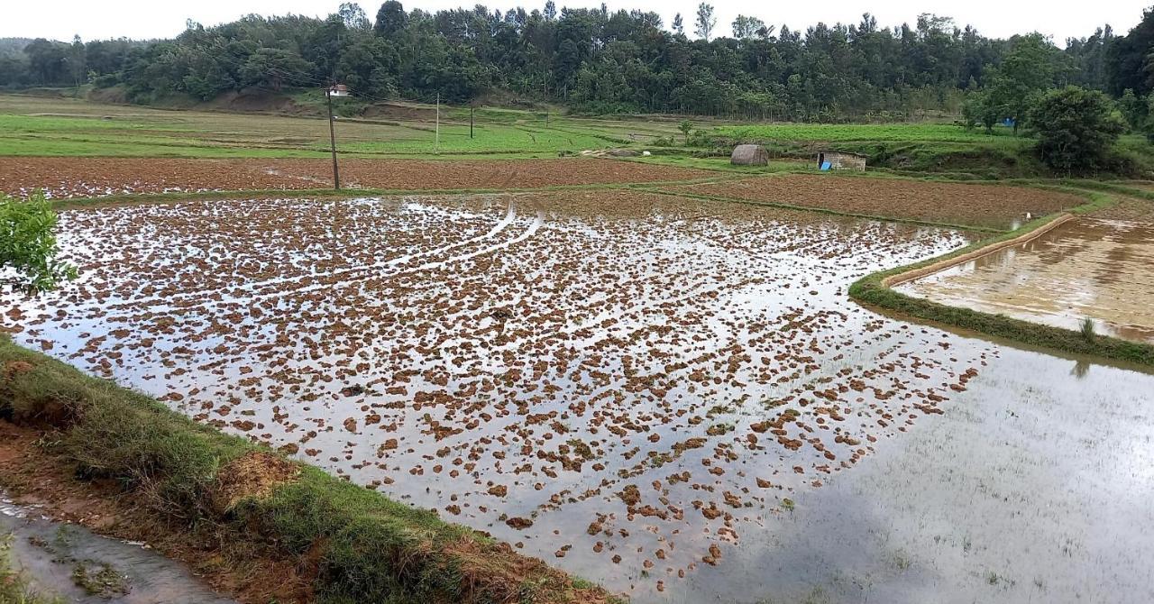 Coorg Coffee Park Farmstay Somvārpet Exterior foto
