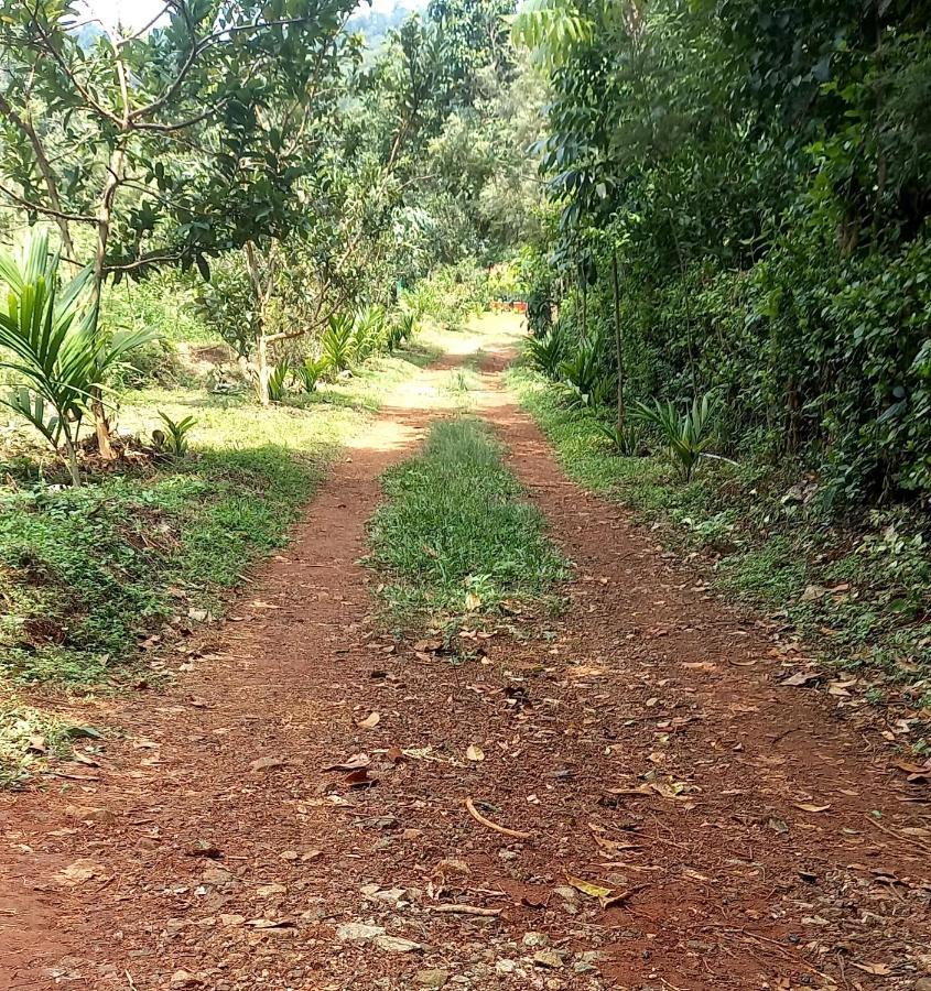 Coorg Coffee Park Farmstay Somvārpet Exterior foto