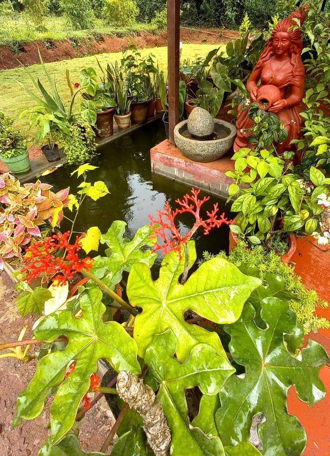 Coorg Coffee Park Farmstay Somvārpet Exterior foto