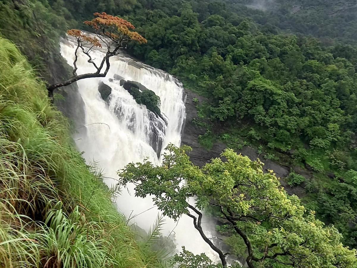 Coorg Coffee Park Farmstay Somvārpet Exterior foto