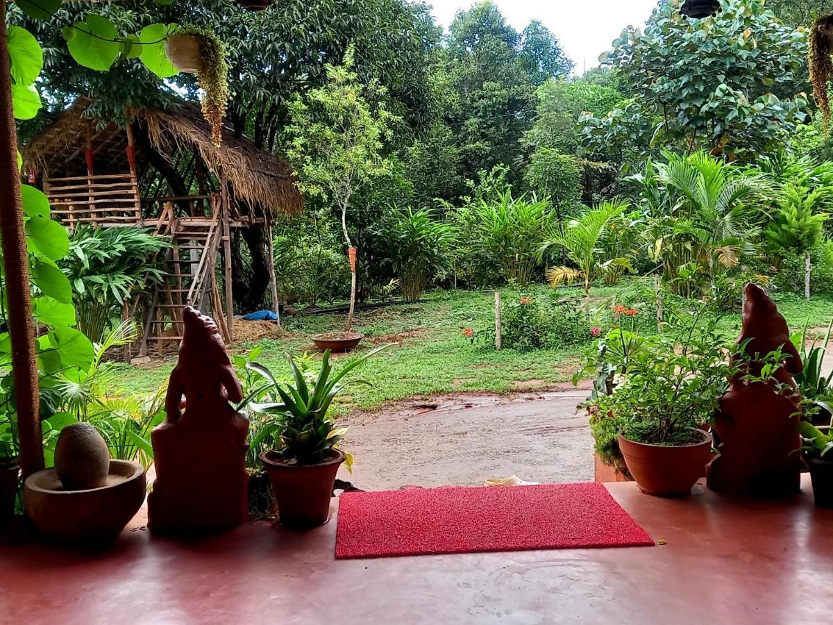 Coorg Coffee Park Farmstay Somvārpet Exterior foto