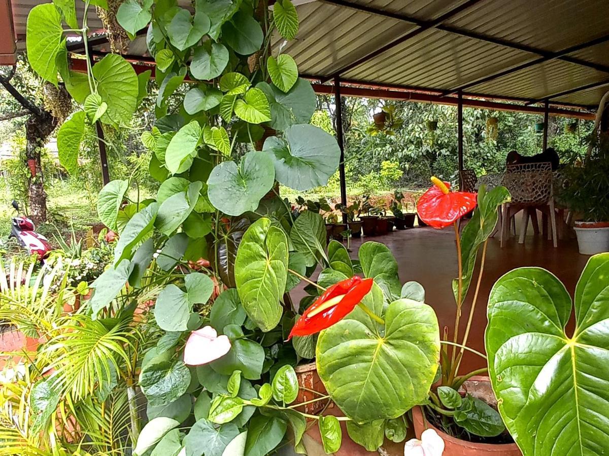 Coorg Coffee Park Farmstay Somvārpet Exterior foto